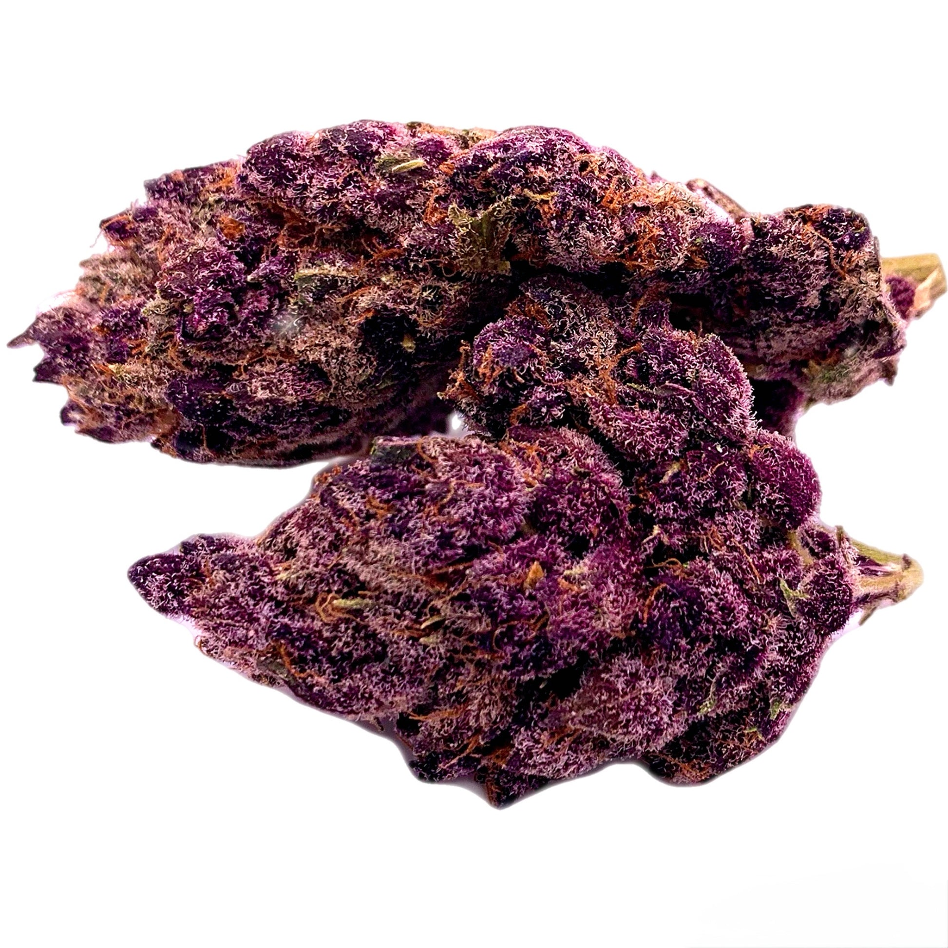 zoom of Lemon Cherry Gelato THC-A hemp flower with dense, trichome-coated buds, showcasing vibrant green and orange hues, known for its sweet citrus and cherry flavor profile.