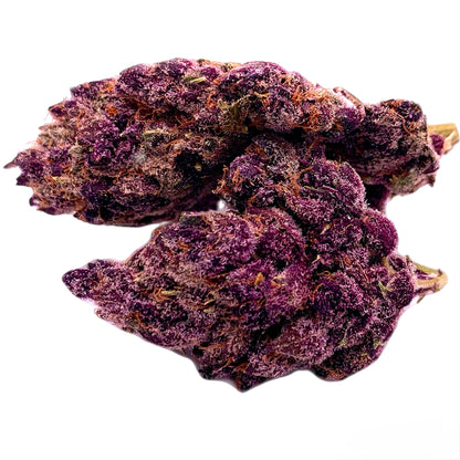 zoom of Lemon Cherry Gelato THC-A hemp flower with dense, trichome-coated buds, showcasing vibrant green and orange hues, known for its sweet citrus and cherry flavor profile.